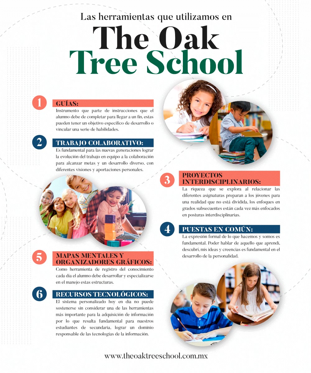 The Oak Tree School sistema personalizado